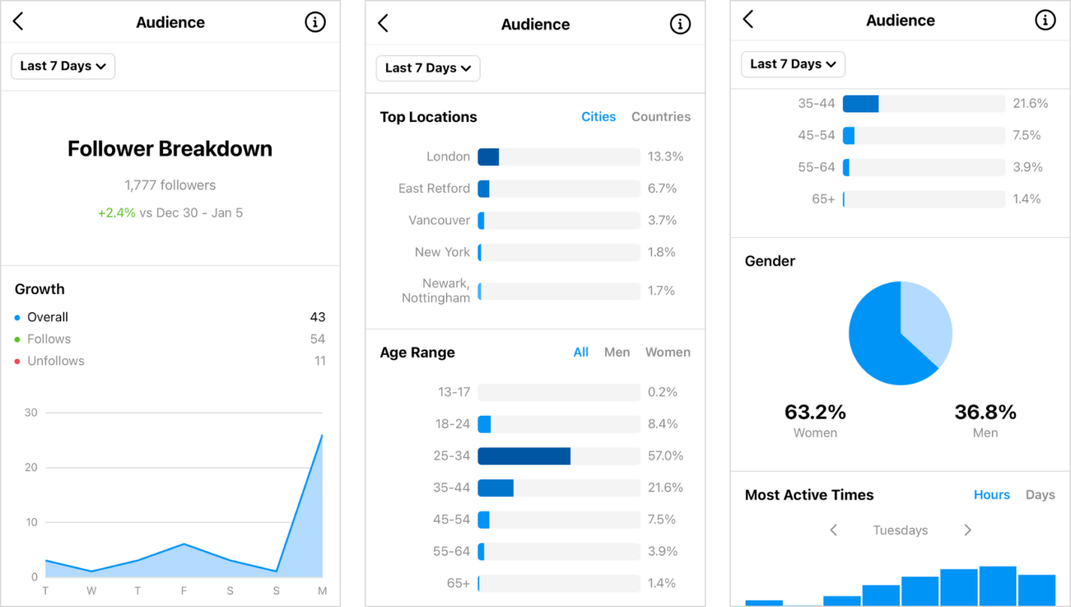 Instagram Audience Insights