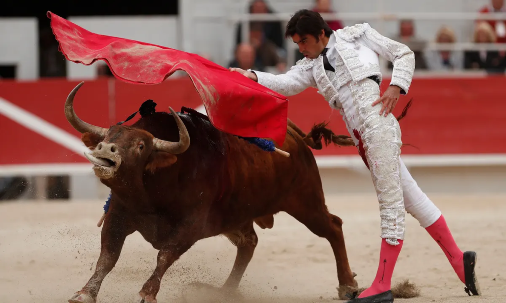 Matador and a bull fighting